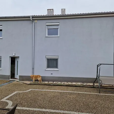 Grbaste51-svilno,rijeka * リエカ